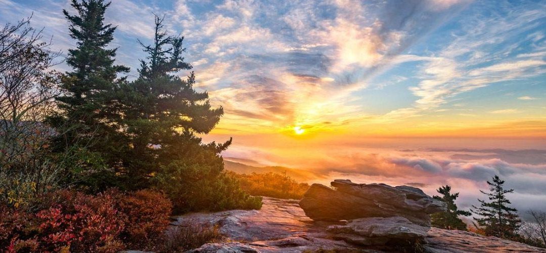 Unlocking the Power of Core Values: A Path to Meaningful Living